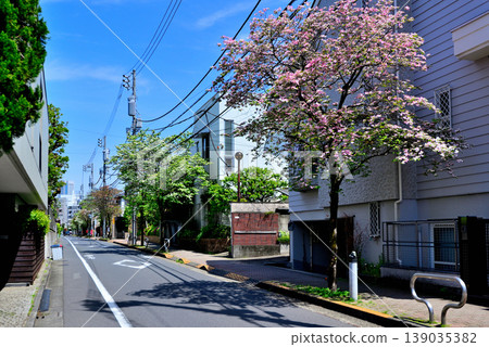 A quiet, upscale residential area around Komaba-Todaimae Station, lined with dogwood trees in bloom. 139035382