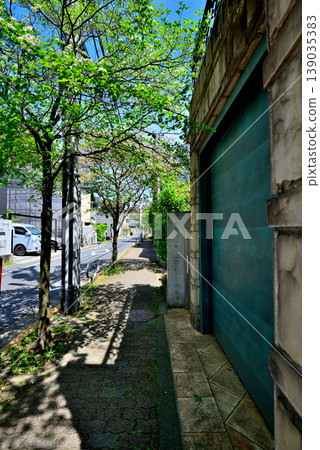 A quiet, upscale residential area around Komaba-Todaimae Station, lined with dogwood trees in bloom. 139035383