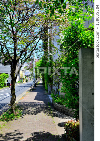 A quiet, upscale residential area around Komaba-Todaimae Station, lined with dogwood trees in bloom. 139035384