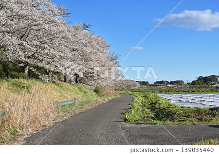 Minoru Numada: Kadaya Nitta Minoru Numada: Kadaya Nitta 139035440