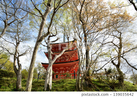 Three-story pagoda (Oka-dera Temple) [Asuka Village, Takaichi District, Nara Prefecture] 139035642