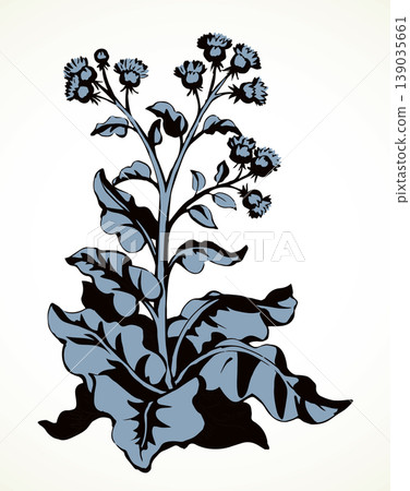 Big blooming burdock. Vector drawing Big blooming burdock. Vector drawing 139035661