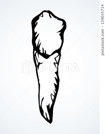 The layout of tooth. Vector drawing 139035714