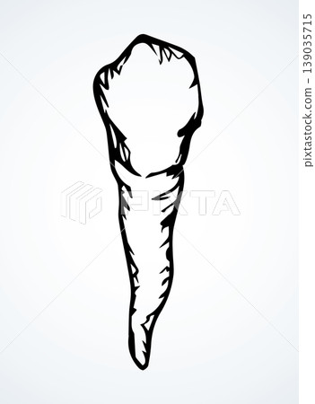 The layout of tooth. Vector drawing 139035715