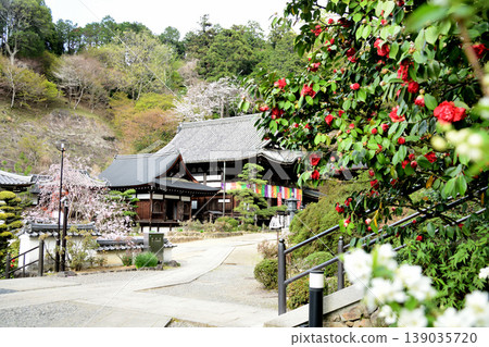 創始人殿和正殿（岡寺）[奈良縣高市郡飛鳥村] 139035720