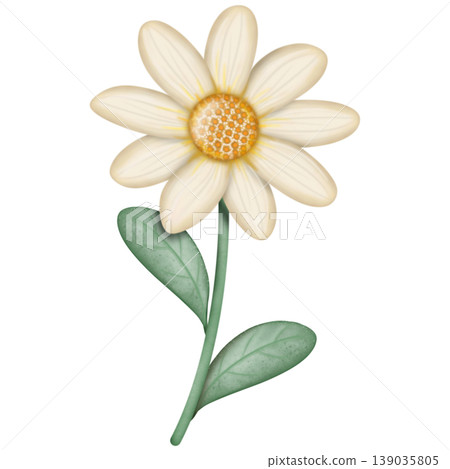 Daisy cute hand drawn, Flower watercolor spring floral bouquet Decorative with ribbon set. Hand drawn pastel flower, leaf, Cute nature element design. for decoration card.	 139035805