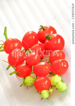 水果蕃茄在菜園裡 139035924