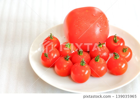 Fruit tomato in kitchen garden Fruit tomato in kitchen garden 139035965
