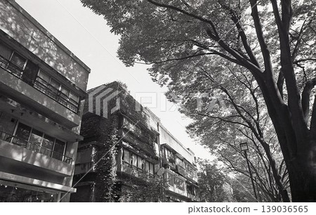 1970年代表三戶道順會公寓 1970年代表三戶道順會公寓 139036565
