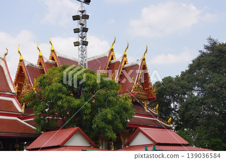 泰國曼谷 Wat Paknam 的屋頂 139036584