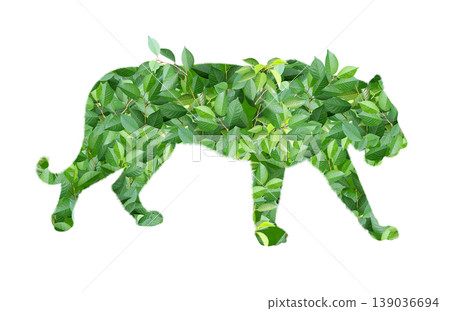 Tiger silhouette made of green leaves. Ecology, global ecological resource, go green concept. Environmental conservation, wildlife protection, Eco-friendly, Green Energy. Isolated on white background Tiger silhouette made of green leaves. Ecology, global ecological resource, go green concept. Environmental conservation, wildlife protection, Eco-friendly, Green Energy. Isolated on white background 139036694