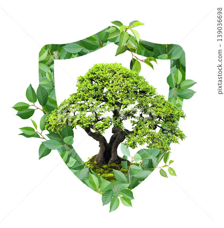 Tree and shield made from green leaves. Safety, ecology, global ecological resource, go green concept. Environmental conservation, wildlife protection, Eco-friendly. Isolated on white background Tree and shield made from green leaves. Safety, ecology, global ecological resource, go green concept. Environmental conservation, wildlife protection, Eco-friendly. Isolated on white background 139036698