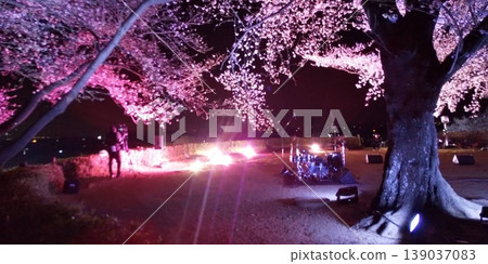 夜晚燈光照耀下的櫻花與樂器:在古老的墓塚間綻放出夢幻般的春夜。 夜晚燈光照耀下的櫻花與樂器:在古老的墓塚間綻放出夢幻般的春夜。 139037083