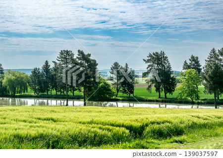 Countryside landscape with sky and fields, real life photo Countryside landscape with sky and fields, real life photo 139037597