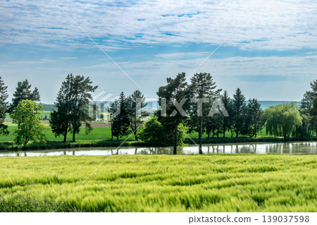 Countryside landscape with sky and fields, real life photo Countryside landscape with sky and fields, real life photo 139037598