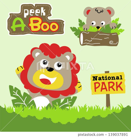 Funny lion with bear playing peek a boo in forest, vector cartoon illustration Funny lion with bear playing peek a boo in forest, vector cartoon illustration 139037891