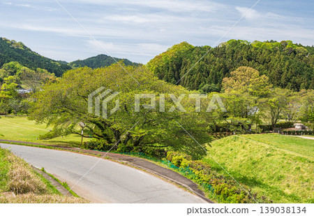 奈良縣飛鳥村石舞台地區飛鳥歷史公園綠意盎然 奈良縣飛鳥村石舞台地區飛鳥歷史公園綠意盎然 139038134