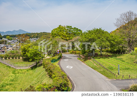 Fresh greenery at Asuka Historical Park, Ishibutai area, Asuka Village, Nara Prefecture Fresh greenery at Asuka Historical Park, Ishibutai area, Asuka Village, Nara Prefecture 139038135