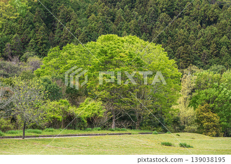 Ishibutai Tomb Lawn Square, Asuka Village, Nara Prefecture 139038195