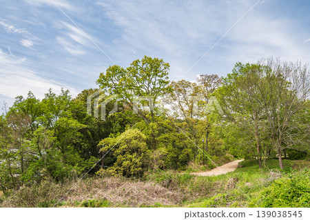 Fresh green countryside in Asuka Village, Nara Prefecture 139038545