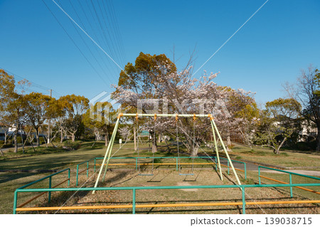 Springtime park playground equipment - swings and cherry blossoms Springtime park playground equipment - swings and cherry blossoms 139038715
