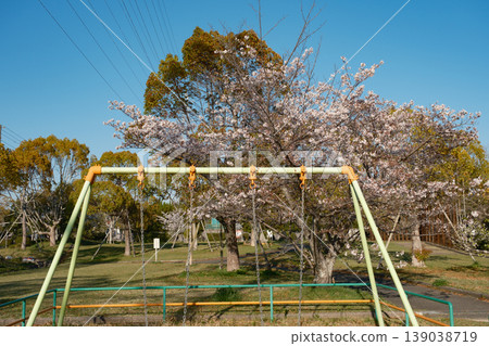 Springtime park playground equipment - swings and cherry blossoms Springtime park playground equipment - swings and cherry blossoms 139038719