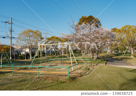 Springtime park playground equipment - swings and cherry blossoms Springtime park playground equipment - swings and cherry blossoms 139038725