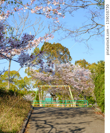 Springtime park playground equipment - swings and cherry blossoms 139038730