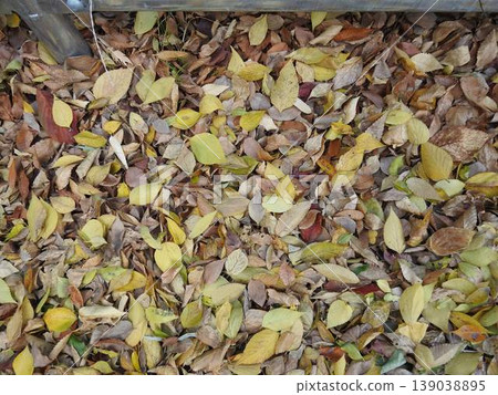 Fallen leaves scattered on the ground, a beautiful natural texture material for late autumn and winter with a dry feel. Fallen leaves scattered on the ground, a beautiful natural texture material for late autumn and winter with a dry feel. 139038895