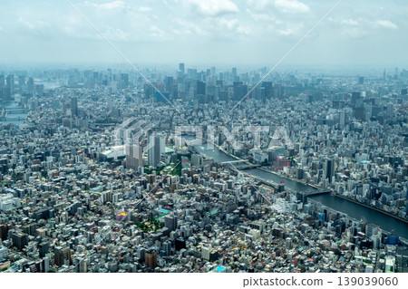 Aerial view of central Tokyo cityscape in Japan 139039060