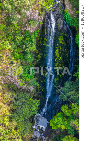 April 19 2026 Pak Shui Wun Forest Waterfall Gorge April 19 2026 Pak Shui Wun Forest Waterfall Gorge 139039217