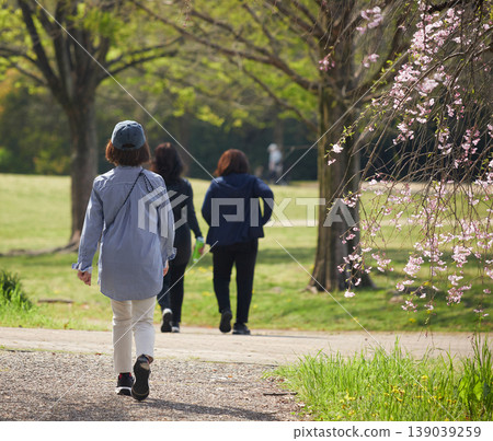 春天，櫻花盛開，女人們在公園裡漫步。 139039259