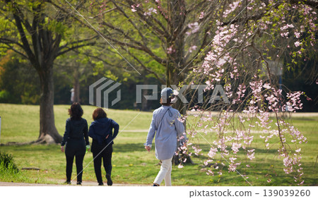 春天,櫻花盛開,女人們在公園裡漫步。 春天,櫻花盛開,女人們在公園裡漫步。 139039260