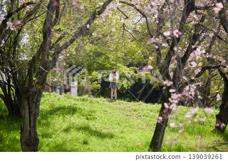 春天,一位國中女生帶著她可愛的博美犬,在櫻花盛開的公園裡欣賞櫻花。 春天,一位國中女生帶著她可愛的博美犬,在櫻花盛開的公園裡欣賞櫻花。 139039261