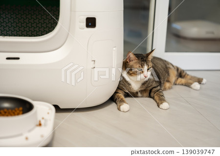 tabby cat sitting next to a modern automatic self-cleaning litter box and a smart automatic pet feeder at home. tabby cat sitting next to a modern automatic self-cleaning litter box and a smart automatic pet feeder at home. 139039747