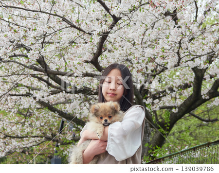 春天,一位國中女生帶著她可愛的博美犬,在櫻花盛開的公園裡欣賞櫻花。 春天,一位國中女生帶著她可愛的博美犬,在櫻花盛開的公園裡欣賞櫻花。 139039786