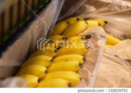 A row of yellow bananas is placed on a table covered with plastic. The bananas are ripe A row of yellow bananas is placed on a table covered with plastic. The bananas are ripe 139039791
