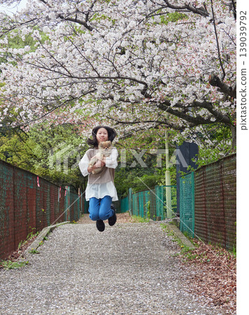 A middle school girl enjoying cherry blossom viewing in a park full of blooming cherry trees in spring, accompanied by her adorable Pomeranian puppy. A middle school girl enjoying cherry blossom viewing in a park full of blooming cherry trees in spring, accompanied by her adorable Pomeranian puppy. 139039792