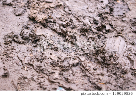 Detailed macro texture of wet brown mud and clay, organic earth surface background Detailed macro texture of wet brown mud and clay, organic earth surface background 139039826