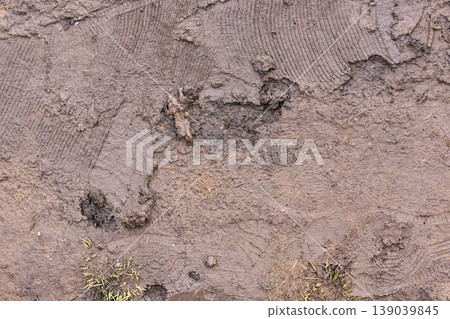 Dirty ground texture during spring thaw: Melted snow, mud, and last year's grass on a rural path 139039845