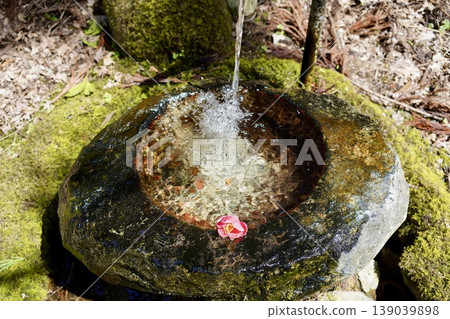 A moss-covered water basin and red flowers A moss-covered water basin and red flowers 139039898