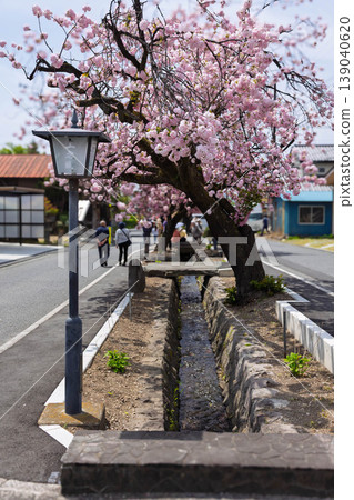 群馬縣澀川市春天的白井宿 139040620