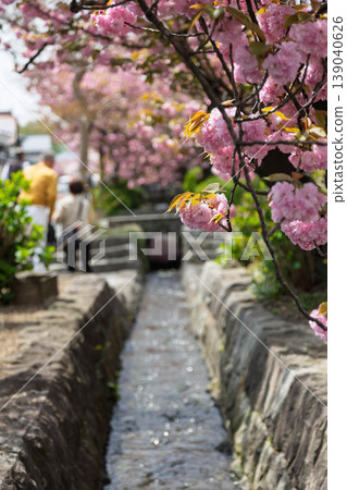 Shirai-juku in spring, Shibukawa City, Gunma Prefecture Shirai-juku in spring, Shibukawa City, Gunma Prefecture 139040626