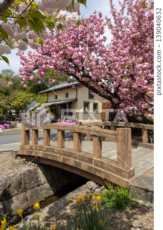 群馬縣澀川市春天的白井宿 139040632