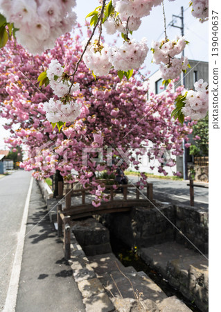 群馬縣澀川市春天的白井宿 群馬縣澀川市春天的白井宿 139040637