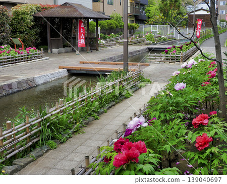 古志波川濱水公園牡丹園，江東區 139040697