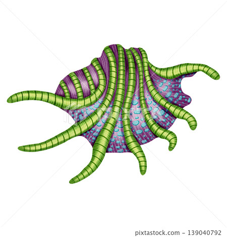 Watercolor illustration of sea shell. Colorful nautical seashell. Bright illustrations, suitable for cheerful summer designs, textiles, summer and children's clothing. Print for babies. 139040792