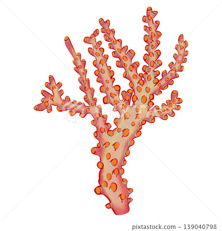 Watercolor illustration of seaweed. Underwater plant. Bright illustrations, suitable for cheerful summer designs, sea travel, textiles, summer and children's clothing. Print for children's. Watercolor illustration of seaweed. Underwater plant. Bright illustrations, suitable for cheerful summer designs, sea travel, textiles, summer and children's clothing. Print for children's. 139040798