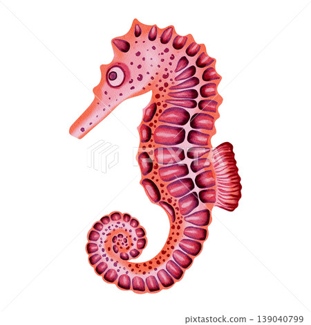 Watercolor illustration of seahorse in pink and orange tones. Cute exotic sea creature. Bright illustrations, suitable for sea travel, cheerful summer designs, textiles, clothing. Print for kids Watercolor illustration of seahorse in pink and orange tones. Cute exotic sea creature. Bright illustrations, suitable for sea travel, cheerful summer designs, textiles, clothing. Print for kids 139040799