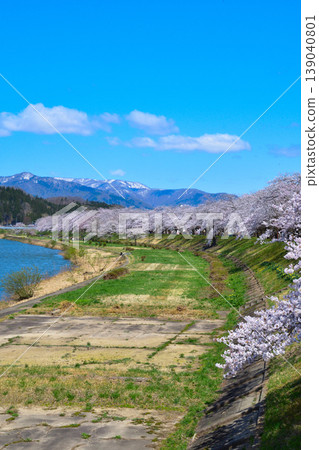 春天,櫻花,檜木內河 春天,櫻花,檜木內河 139040801